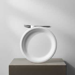 Disposable Styrofoam Plate - Pack 25